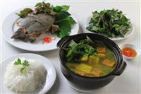 Cách làm thịt ba ba và những món ngon khó cưỡng